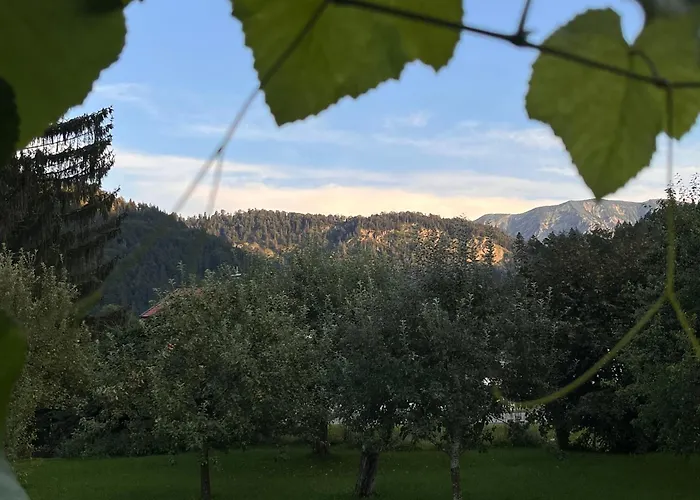 Gaestehaus Zum Thoma