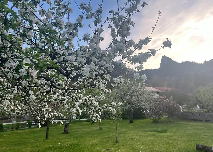 Gaestehaus Zum Thoma