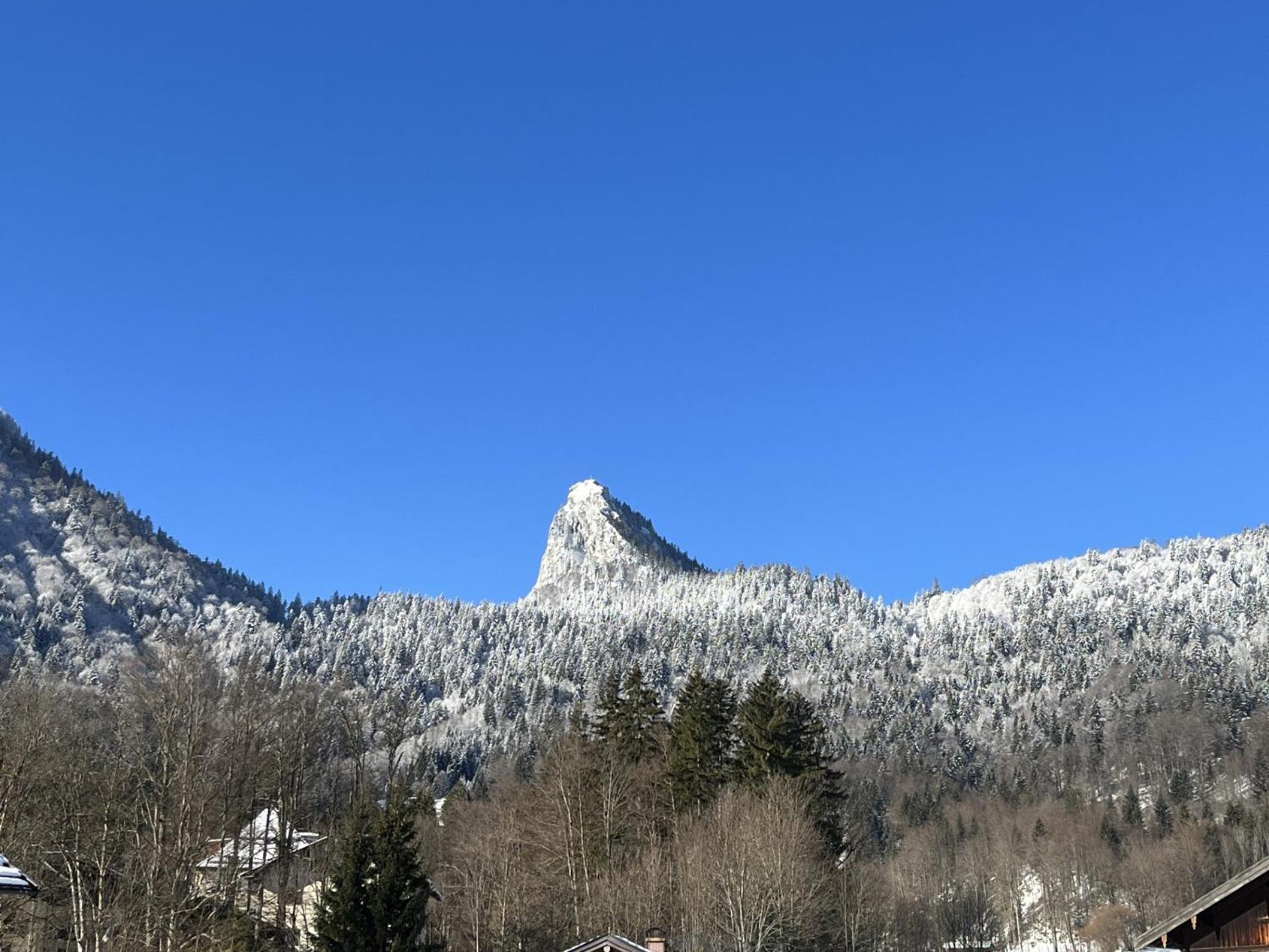 Apartment Gaestehaus Zum Thoma