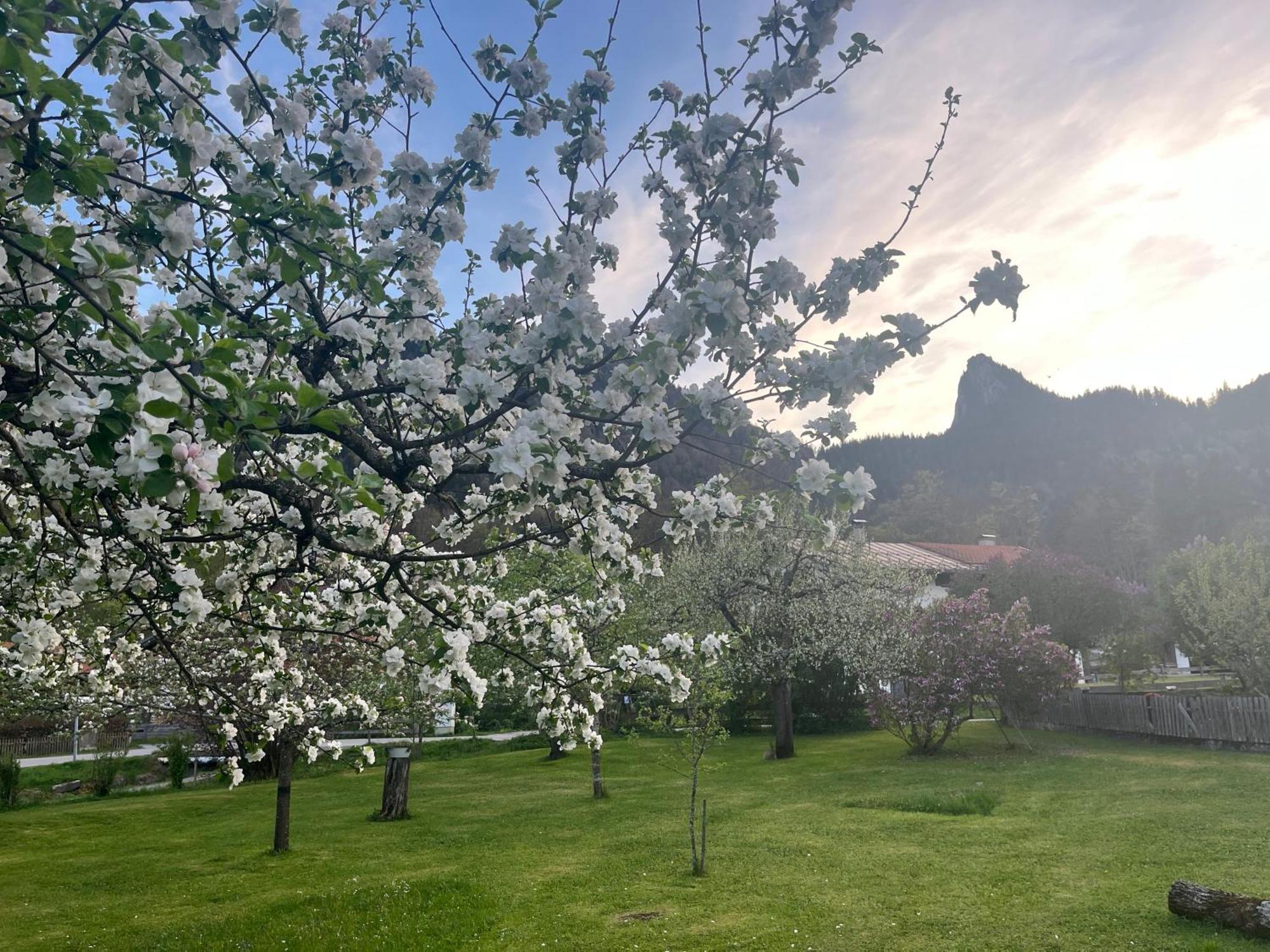 Apartment Gaestehaus Zum Thoma Kreuth